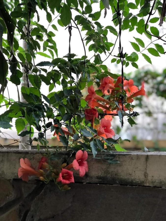 Hidden Hue Homestay Bagian luar foto