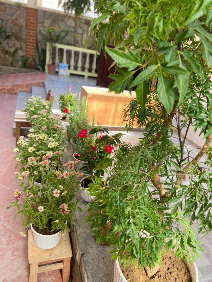 Hidden Hue Homestay Bagian luar foto