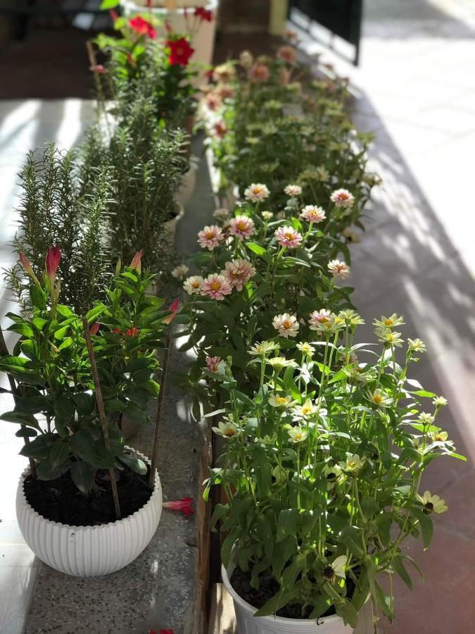 Hidden Hue Homestay Bagian luar foto