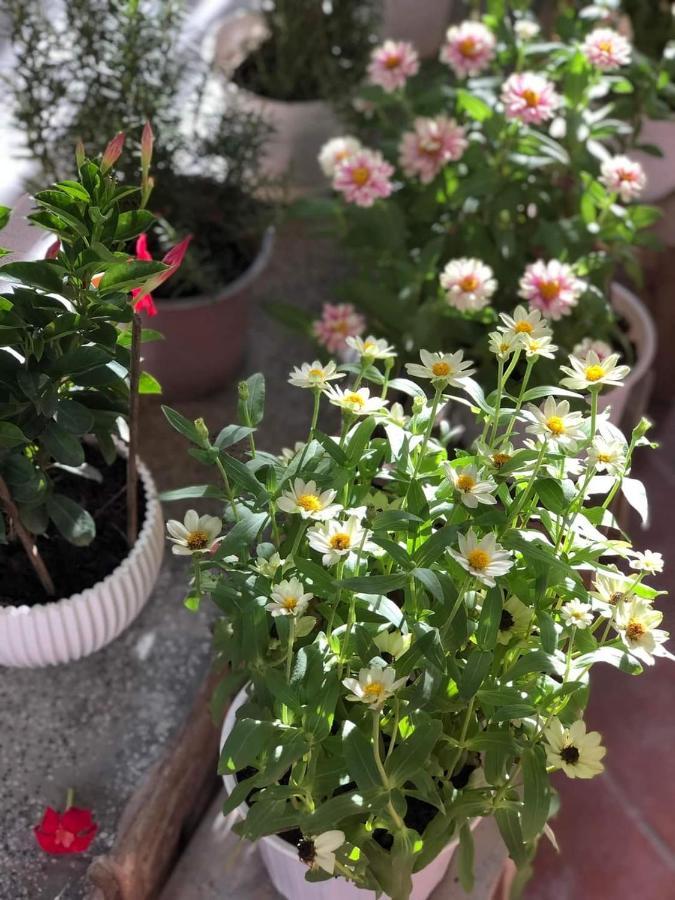 Hidden Hue Homestay Bagian luar foto