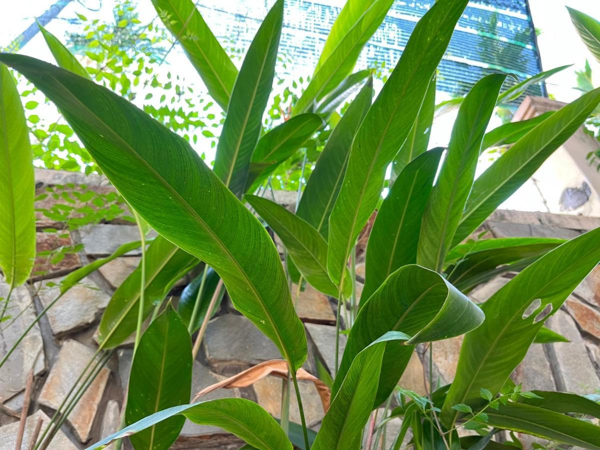 Hidden Hue Homestay Bagian luar foto